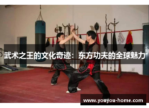 武术之王的文化奇迹：东方功夫的全球魅力